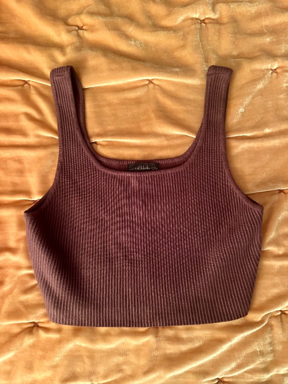 House of Harlow Crop Sweater Tank